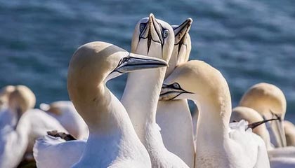 开云体育下载-纳赛尔勉励德罗：最重要的是努力训练，把全部精力放在足球上